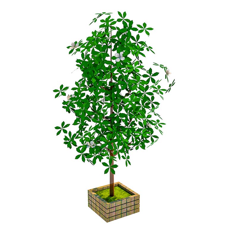 千庫網_室外植物_模板編號4961197 千庫網_室外植物_模板編號4961197