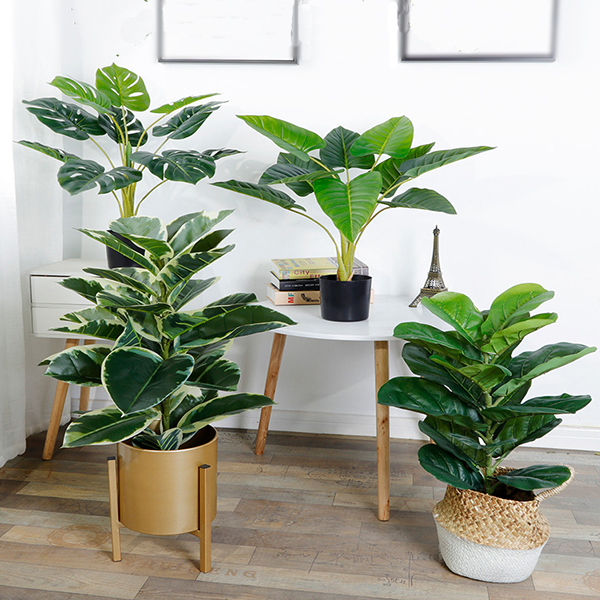 沈陽仿真植物 沈陽仿真植物